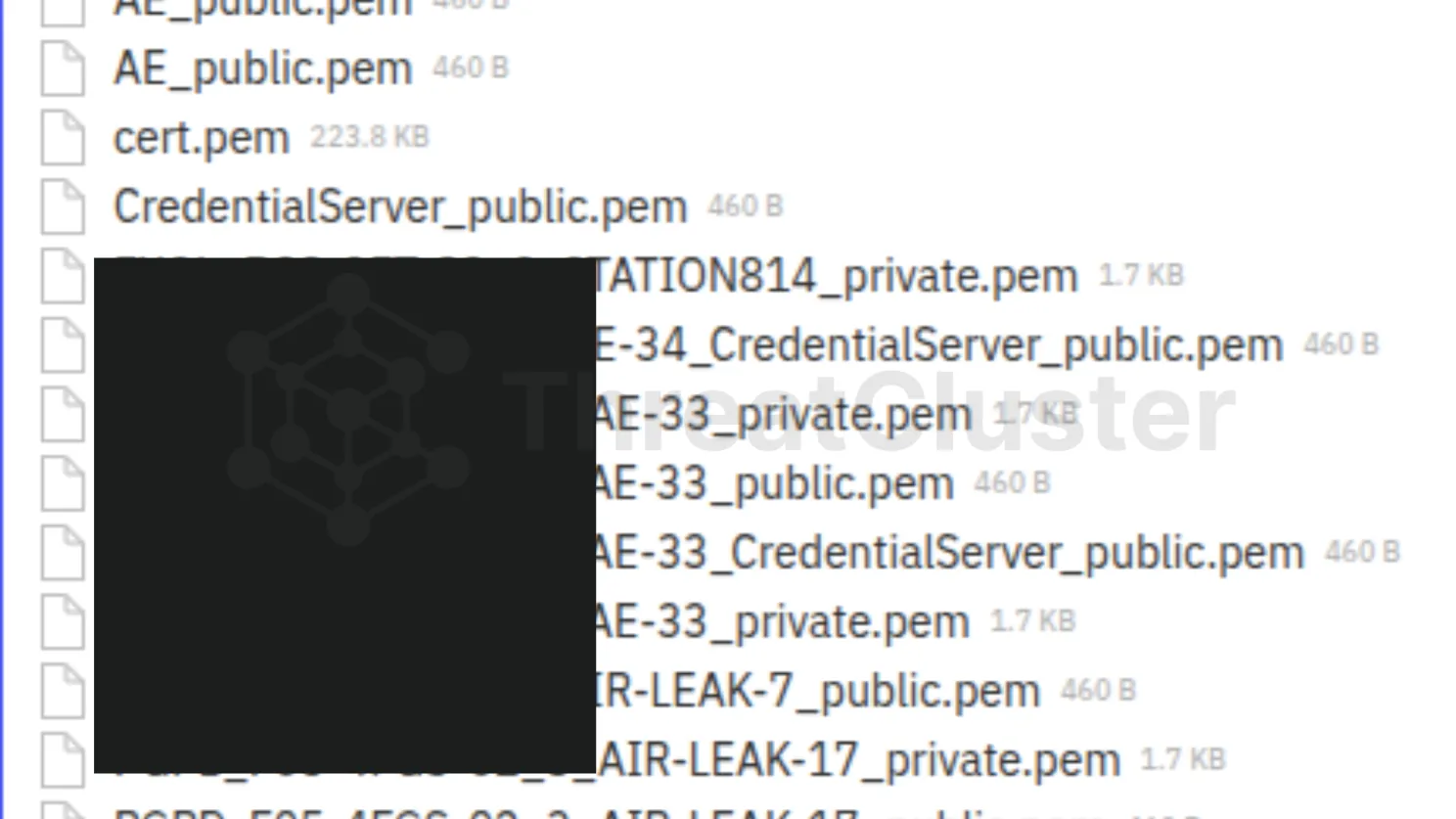 Redacted view of credential and key material in the dump